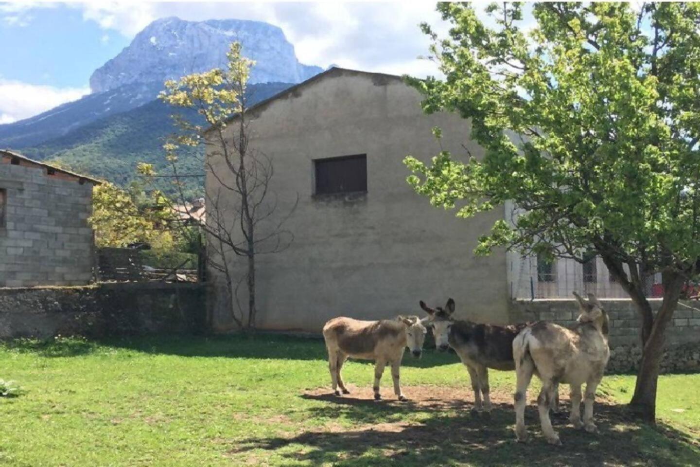 Duplex La Valle Ordesaainsa لاسبونا المظهر الخارجي الصورة